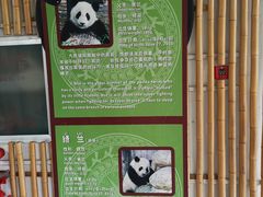-南宁市动物园