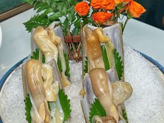 -喜聚薈·花膠雞海鮮火鍋(越秀店)