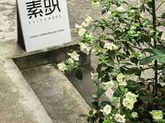 -素咫咖啡CLIFEROSE