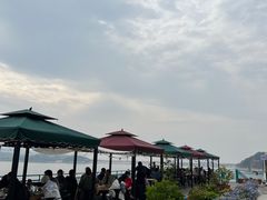 -望湖烤鱼