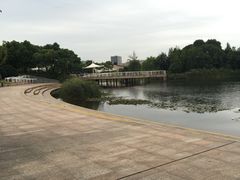 -新江湾城公园