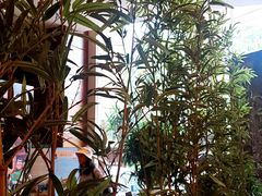 -翠湖宾馆·中餐厅