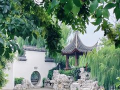 -桃花堤公园