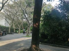 -兰溪青年公园
