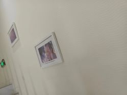 -SILKTONE诗丽堂美容