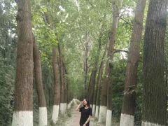 -奥林匹克体育中心游泳跳水中心