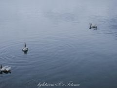 景点-青海湖国家重点风景名胜区