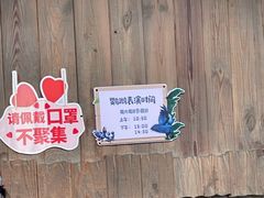 -南宫五洲植物乐园