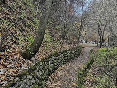 -柞水土菜馆(营盘镇朱家湾店)