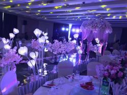 -IDOI婚礼策划·IDOIWEDDING
