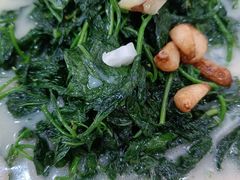 -金记猪肚鸡(琅西店)