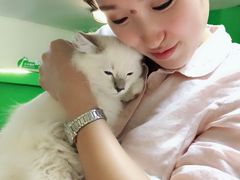 -李小姐の猫咖啡馆(五角场店)