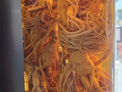 -长顺参鸡汤店(西塔总店)