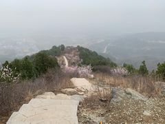 -北京西山国家森林公园