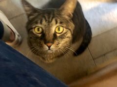 -螺大蛳柳州螺蛳粉·火锅·热干面(西城永捷店)