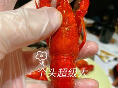 -一棠龙虾•王牌虾球(楚河汉街店)