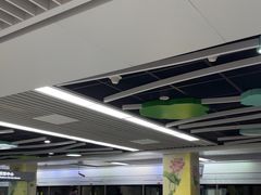 -杨柳河(地铁站)