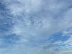 -濠江渔港酒楼(湾仔海鲜街，会展中心店)