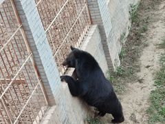 -洛阳马蹄泉旅游度假村