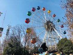 -西安市长乐公园