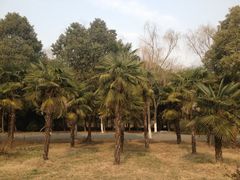 -蜀冈西峰生态公园