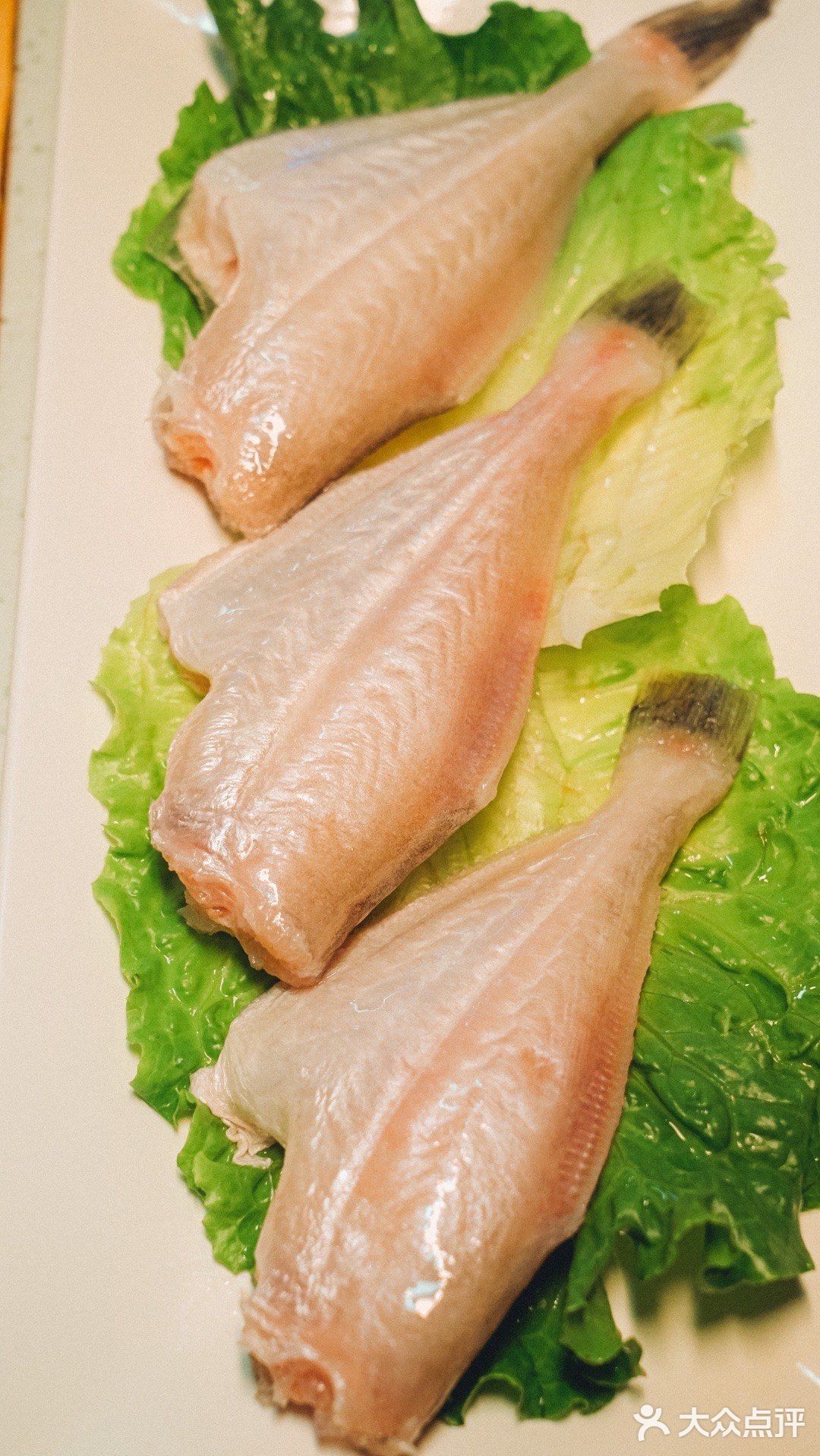 今日探店打卡：鲜菜洞子火锅[色]