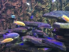 -石林冰雪海洋世界