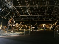 -世界恐龙谷景区