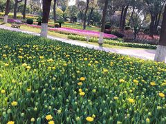 -上海鲜花港