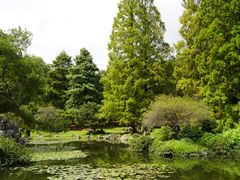 -杭州植物园