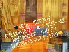 -博特宠物医院24h犬猫全科.骨科·异宠