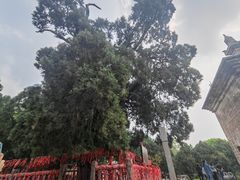 -四门塔风景区