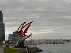 -日照世帆赛基地