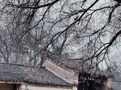 -杏花村文化旅游区