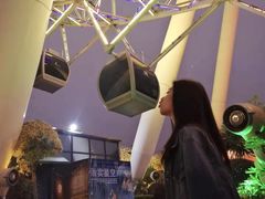 -幻彩摩天轮