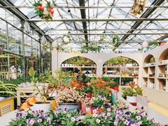 -南宫五洲植物乐园