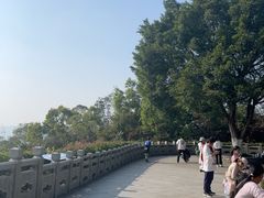-火炉山森林公园