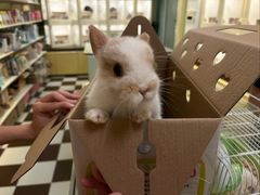 -龙猫仔乐园(惠福东路店)