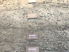 -隋唐大运河文化博物馆