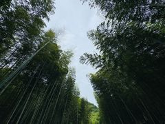 -黄公望隐居地