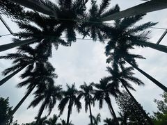 -潮州西湖