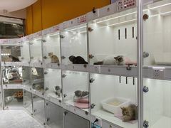 -苏州市皮市街花鸟工艺品市场