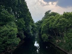 -上海滨江森林公园