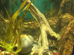 -临沂极地海洋王国
