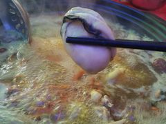 -花苑美食横琴生蚝火锅(拱北粤华路店)
