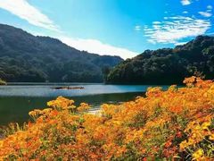-广州市石门国家森林公园