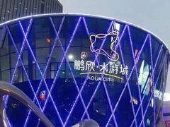 -鹏欣水游城