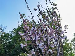 -观澜湖生态运动公社