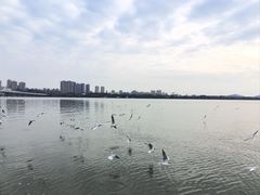 -蠡湖大桥公园