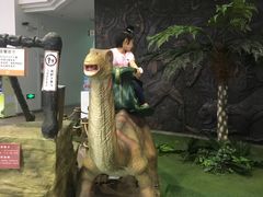 -陕西自然博物馆